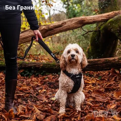 Нова каишка Универсален повод за кучета – регулируем, с колан за кола, снимка 7 - За кучета - 49901326