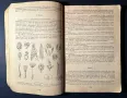 Стара Книга Разпознаване и Събиране на Билки / Борис Китанов, снимка 3