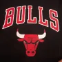 Мъжка тениска Chicago Bulls - New Era , снимка 3