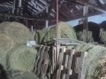 Продавам бали люцерна и слама , снимка 2