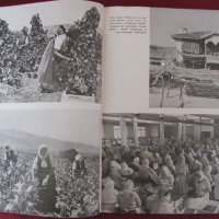 1939г. Книга- Балканите VOLK UND REICH рядка, снимка 7 - Други - 27355798