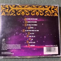 Running Wild,DIO,Manowar, снимка 9 - CD дискове - 43289426