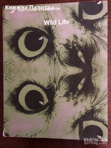 WILD LIFE  TONY STONE BILDERWELTEN, снимка 1