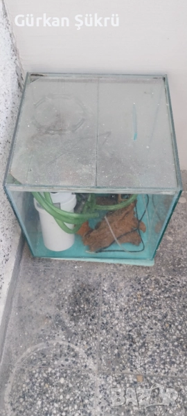 аквариум, снимка 1