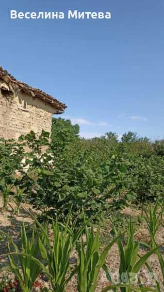 къща с градина, снимка 1