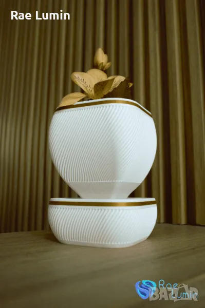 Саксия Санторини, снимка 1