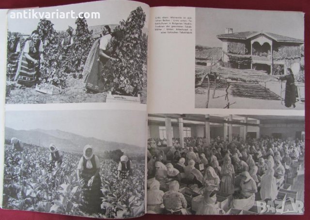 1939г. Книга- Балканите VOLK UND REICH рядка, снимка 7 - Други - 27355798