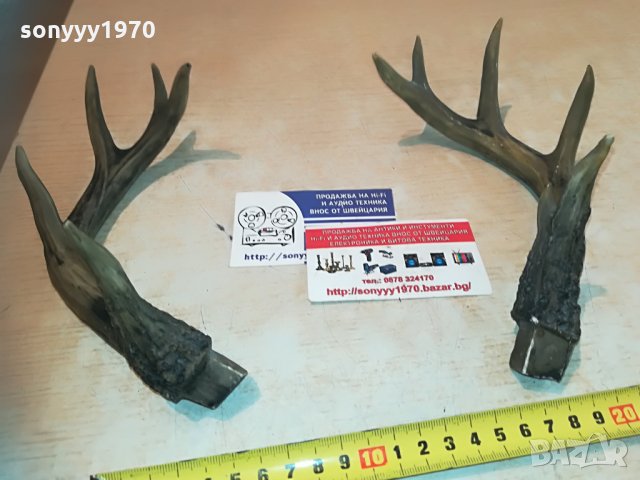 рога комплект 2бр 2005212045, снимка 2 - Антикварни и старинни предмети - 32947574