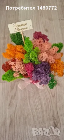 Стъклени кашпи със скандинавски мъх , снимка 6 - Декорация за дома - 48169993