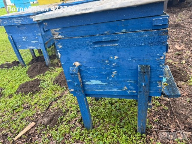 Кошери , снимка 5 - За пчели - 53403317