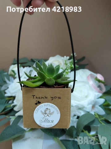 НАМАЛЕНИЕ!!! СУКУЛЕНТИ В ЧАНТИЧКА, снимка 2 - Декорация - 51925376