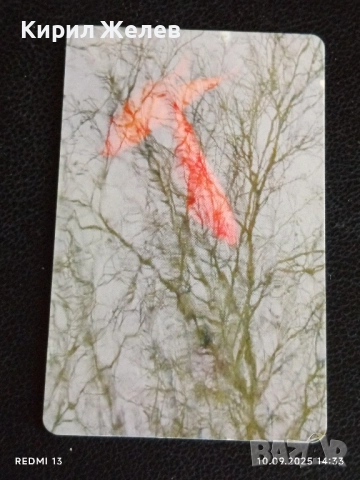 Две фонокарти БЕТКОМ, БУЛ ФОН тема РИЛСКИ МАНАСТИР за КОЛЕКЦИЯ ДЕКОРАЦИЯ 50889, снимка 6 - Колекции - 51666529