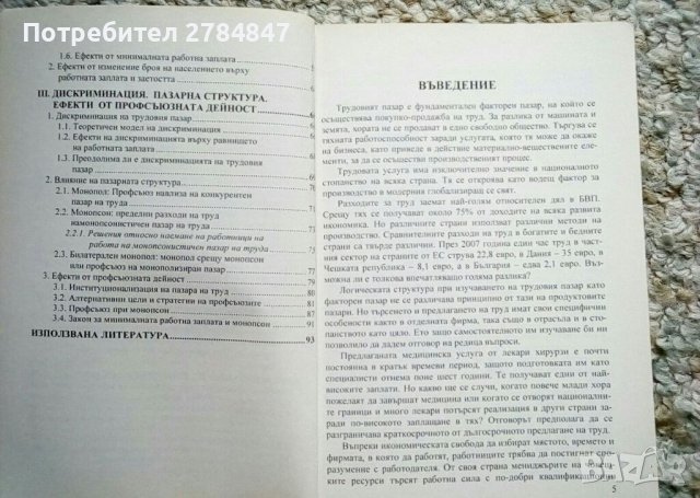 Пазар на труда Микроикономически анализ, снимка 4 - Специализирана литература - 37816118