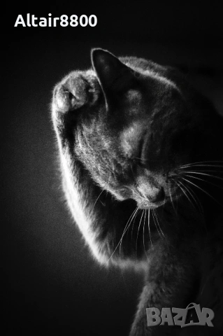 Nikon AF 24-120mm f/3.5-5.6D Nikkor обектив Никон, снимка 11 - Обективи и филтри - 53014299