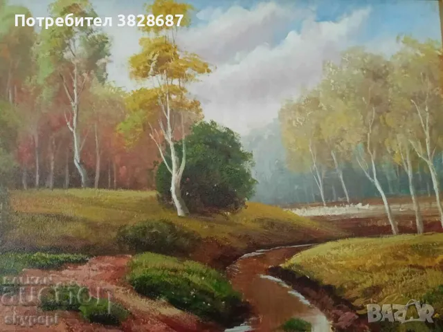 ПЕЙЗАЖ, снимка 3 - Картини - 48247449