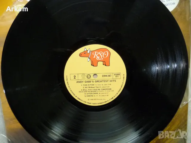 Andy Gibbs - Greatest Hits 1980 LP, снимка 4 - Грамофонни плочи - 47826469