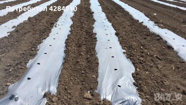 Мулч фолио черно сиво UV защита, снимка 5 - Градински инструменти - 49842126
