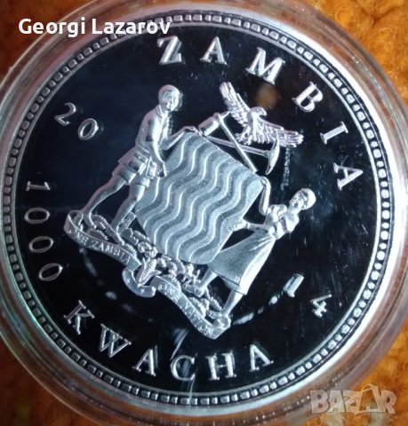 1000 квача Замбия 2014 костенурки, снимка 2 - Нумизматика и бонистика - 39006374