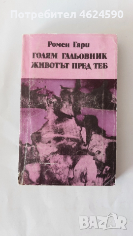 Книги, снимка 11 - Художествена литература - 52344394