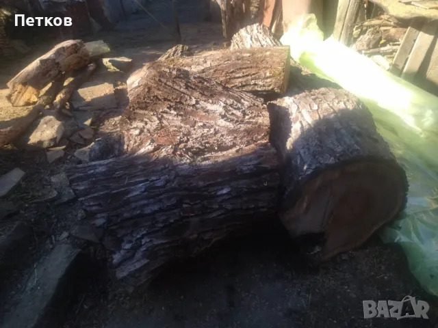 Продавам орехово дърво за материал , снимка 6 - Други - 49298637