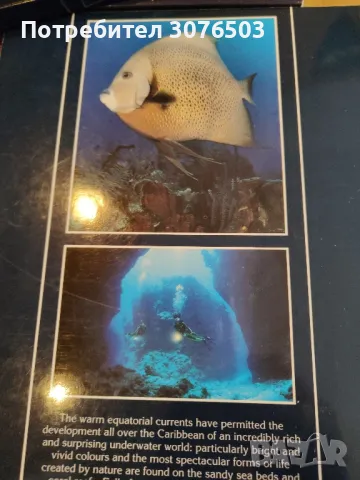 Diving Guides x3, снимка 6 - Специализирана литература - 47936935