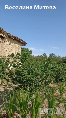 къща с градина