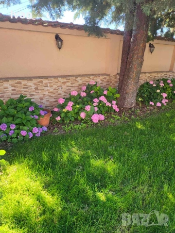 Косене  Аериране пръскане  Градинарски услуги косене аериране на тревни площи поливни системи , снимка 5 - Други услуги - 53255296