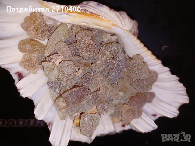 Тамян.Фаворитът.От Оман.Босвелия сакра.Арабски тамян Ходжари От Дофар, снимка 7 - Други - 37083493