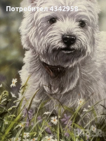 Колекционерска чиния от серия « Westies “, снимка 3 - Антикварни и старинни предмети - 50787307