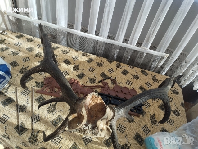 различни симетрични трофеи, снимка 18 - Антикварни и старинни предмети - 47085516