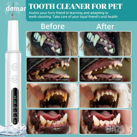 Hauser Комплект за почистване на зъби от зъбен камък и петна, 2 в 1, снимка 4 - За кучета - 51905521