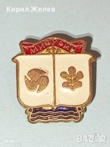Стара значка от соца с герба на град МИЧУРИН сега ЦАРЕВО за КОЛЕКЦИЯ 51688, снимка 3 - Колекции - 53171885
