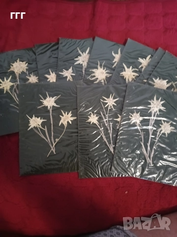 Стари картички с еделвайс, снимка 2 - Други ценни предмети - 51863674