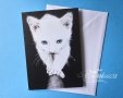 Картичка "Бяло коте" / котка, животни, принт, графика, снимка 1 - Други - 28337210