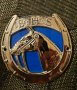 Винтидж 1970 British Horse Society car бадж СЪСТЕЗАТЕЛЕН КЛУБ, снимка 2