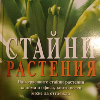 Стайни растения Най-красивите стайни растения за дома и офиса, които всеки може да отглежда, снимка 1 - Други - 44863504