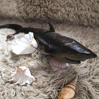 Риба Акула-Папие Маше 70 см, снимка 10 - Антикварни и старинни предмети - 44014780