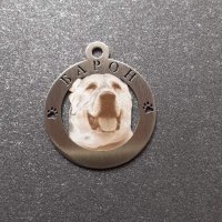 Лазерно рязане и гравиране на медальони за кучета от неръждаема стомана , снимка 4 - Други стоки за животни - 39241128