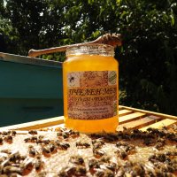 Пчелен мед на едро, директно от производител, реколта 2023 , снимка 4 - Пчелни продукти - 26607421