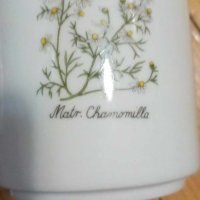 Порцеланова чаша Зелтман, серия Ботаника, снимка 4 - Чаши - 43960340