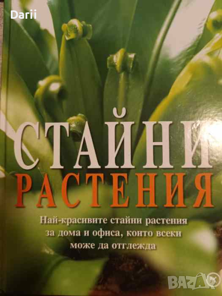 Стайни растения Най-красивите стайни растения за дома и офиса, които всеки може да отглежда, снимка 1