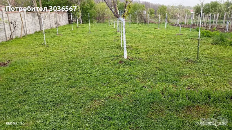 Косене на тревни площи, дворове и градини., снимка 1