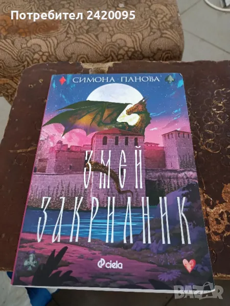 змей закрилник-10лв, снимка 1