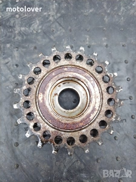 Regina corsa, снимка 1