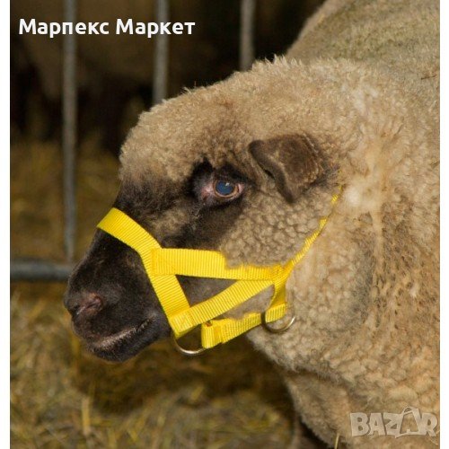 Оглавник за овце / кози - Y1, снимка 1