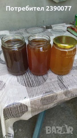 100% Натурален Пчелен мед., снимка 3 - Пчелни продукти - 37508468