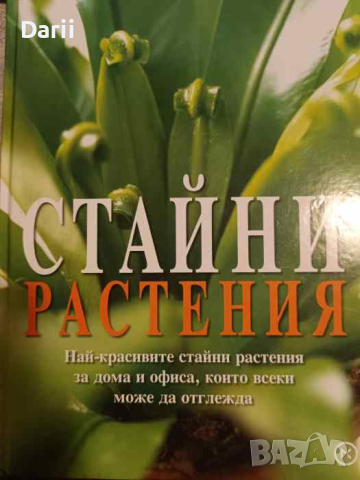Стайни растения Най-красивите стайни растения за дома и офиса, които всеки може да отглежда