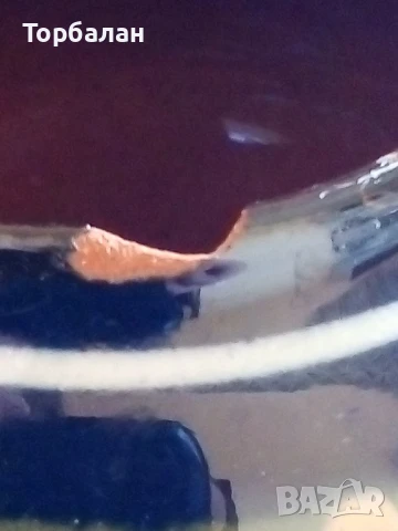 Малка ваза от соц-а, снимка 7 - Вази - 51118323