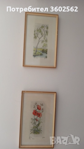 две офортни графики - ръчно оцветени , подписани, снимка 6 - Картини - 51729883