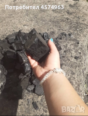 предлагаме Домбаски авъглища, снимка 10 - Въглища - 51480980
